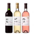 岩崎醸造 赤白ロゼ 計3本セット B19-488