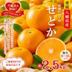 柑橘の大トロ せとか 約2.5キロ