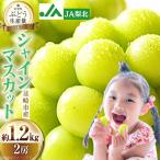 ふるさと納税 韮崎市 【2025年9月発送】シャインマスカット 約1.2kg(2房) 山梨県産 冷蔵発送