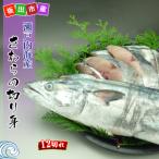 瀬戸内海産 朝獲れ 鰆の切り身12切れ 4切れパック×3袋