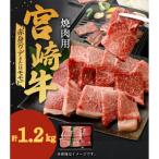 <宮崎和牛焼肉セット計1.2kg>