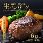 生ハンバーグ120g×6個 常陸牛 100%