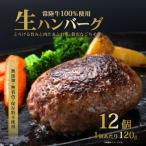 生ハンバーグ120g×12個 常陸牛 100%