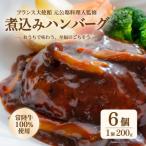 ふるさと納税 茨城町 煮込みハンバーグ 200g×6袋