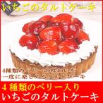いちごのタルトケーキ 5号
