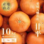 ふるさと納税 八幡浜市 【愛媛が誇る 高級みかん 希少品種】甘平 (かんぺい) 10kg【H20-67】