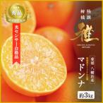ふるさと納税 八幡浜市 極撰柑橘 【雅】光センサー 合格品・プルプル食感「 マドンナ 」 約3キロ【E39-70】