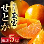 玉宝ブランド 5kg