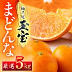 ふるさと納税 八幡浜市 「玉宝ブランド」【まどんな】5kg ※紅まどんなと同品種【H64-63】