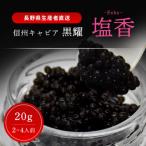 fu.... налог длина мир блок чёрный . Shinshu черная икра соль .-Enka- 20g ракушка ложка * несессер есть 