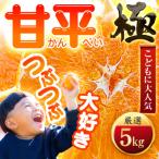 ふるさと納税 八幡浜市 【甘みぎっっしり!】シャキシャキ甘い♪♪【甘平】5kg【H49-78】
