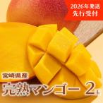 ショッピングふるさと納税 マンゴー ふるさと納税 日南市 【先行受付】宮崎県日南市産 完熟マンゴー2玉【日南市】(R8年4月上旬以降順次発送)