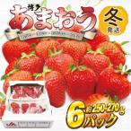 博多あまおう 冬 250g-270g×6P