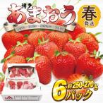 ショッピングふるさと納税 いちご ふるさと納税 岡垣町 【2026年2月上旬〜4月下旬発送】博多あまおう(春) (250g-270g)×6パック(岡垣町)
