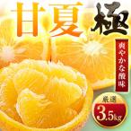 玉宝甘夏 3.5kg