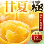 玉宝甘夏 12kg