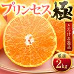 ふるさと納税 八幡浜市 「新品種!!」【甘平×まどんな】愛果48号(紅プリンセスと同品種)【極】2kg【D49-90】