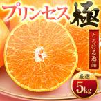 ふるさと納税 八幡浜市 「新品種!!」【甘平×まどんな】愛果48号(紅プリンセスと同品種)【極】5kg【H49-92】
