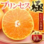 ふるさと納税 八幡浜市 「新品種!!」【甘平×まどんな】愛果48号(紅プリンセスと同品種)【極】10kg【H49-93】