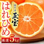 玉宝はれひめ 5kg