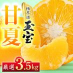 玉宝甘夏 3.5kg