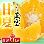 玉宝甘夏 6kg