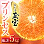 ふるさと納税 八幡浜市 ≪新品種!!≫【甘平×まどんな】愛果48号(紅プリンセスと同品種)5kg【H64-78】