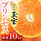 ふるさと納税 八幡浜市 ≪新品種!!≫【甘平×まどんな】愛果48号(紅プリンセスと同品種)10kg【H64-79】