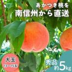 ふるさと納税 豊丘村 【南信州産】あかつき桃 秀品 大玉13〜15玉 約5kg 2026年7月下旬〜順次発送