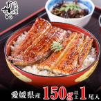 ふるさと納税 松山市 愛媛県松山産　大サイズの国産うなぎ蒲焼150g1本(150g〜169g)
