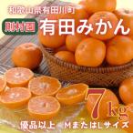 則村園産 有田みかん 7kg