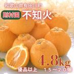 則村園産 不知火 4.8kg