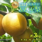 ふるさと納税 あわら市 【先行予約】上野梨園の豊水梨 4〜8玉入 約3kg 4L〜6L【秀品】《数量限定》梨園直送!