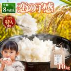 恋の予感10kg