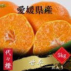 ふるさと納税 八幡浜市 【濃密でシャキシャキ甘い】代々橙甘平【訳あり】5kg【E83-39】