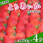 ふるさと納税 さくら市 栃木県産とちあいか(約250g×4パック)【2026年2月以降発送開始】栃木県共通返礼品・栃木県産