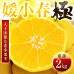驚きの甘さ 2kg