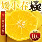 驚きの甘さ 10kg
