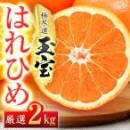 玉宝はれひめ 2kg