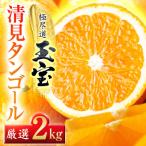 玉宝清見タンゴール 2kg