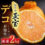 玉宝デコ 不知火 2kg
