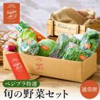 旬の新鮮なお野菜を ベジプラ特選 旬の野菜セット