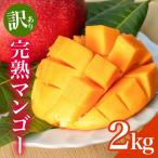 ふるさと納税 糸満市 【2025年発送】 訳あり 完熟アーウィンマンゴー 2kg