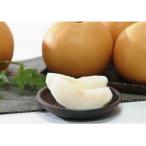 ショッピングふるさと納税 梨 ふるさと納税 美咲町 岡山県産新高梨　4〜6玉(約3.0kg)