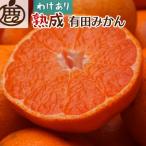 熟成有田みかん7.5kg+250g