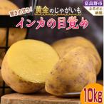 ふるさと納税 富良野市 【2025年先行予約】黄金のジャガイモ インカの目覚め 10kg 北海道 富良野産