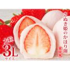 ふるさと納税 さぬき市 【限定先行予約】【風月堂】大粒でジューシーないちご大福 「さぬき姫のかほり餅」8個入り