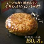 イベリコ豚と黒毛和牛のデリシオソハンバーグ 150g×8個