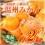 山海の西宇和みかん約2kg 秀品