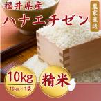 ふるさと納税 小浜市 【新米】令和8年産福井県産ハナエチゼン10kg・白米　